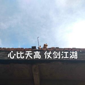 91免费成人在线
